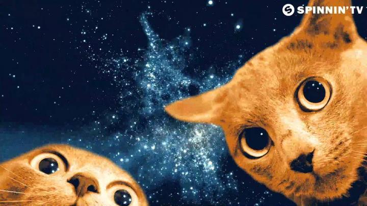 скачать клип Ummet Ozcan - Spacecats