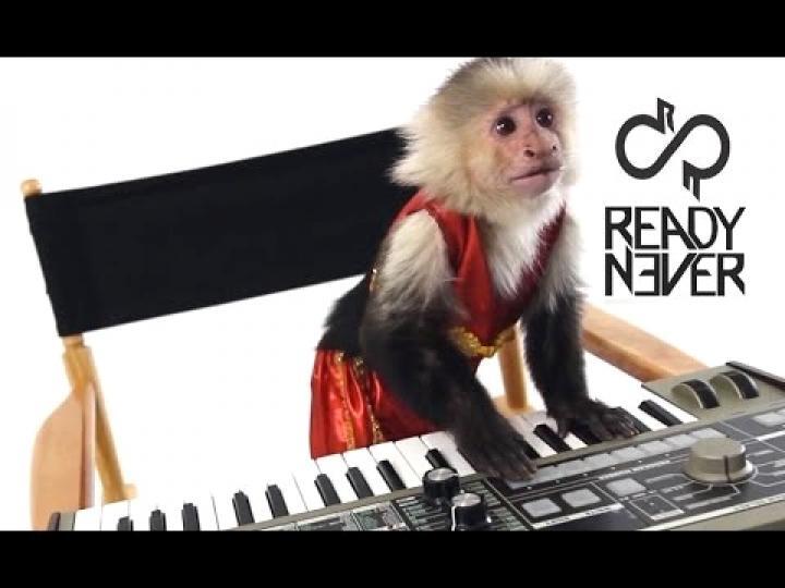 скачать клип Ready Never - Assistant Press Play