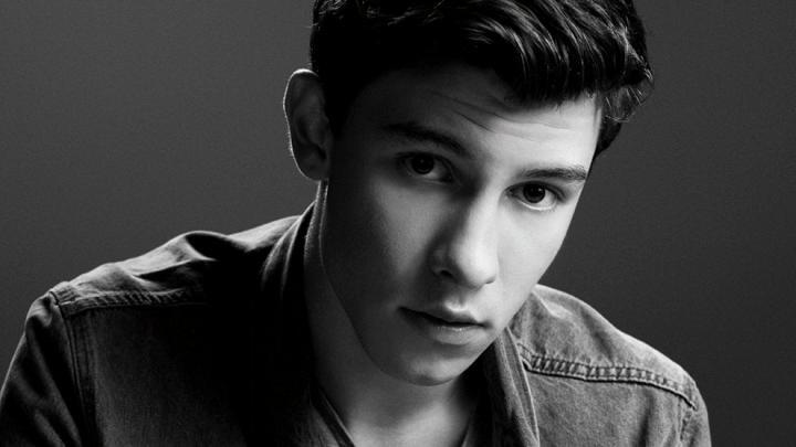 скачать клип Shawn Mendes - Treat You Better