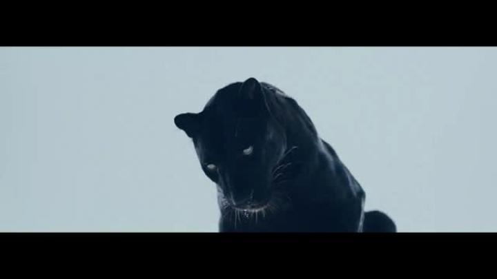 скачать клип The Weeknd - M A N I A