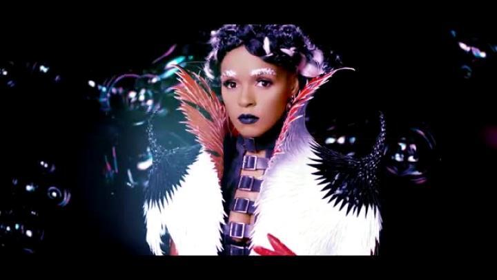 скачать клип Grimes ft. Janelle Monae - Venus Fly