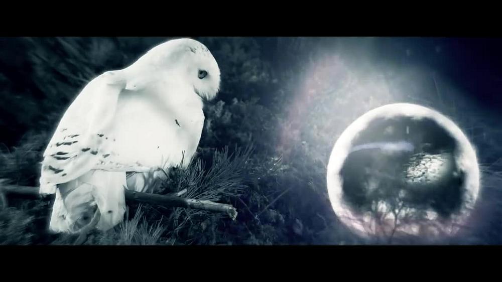 скачать клип NIGHTWISH - Elan