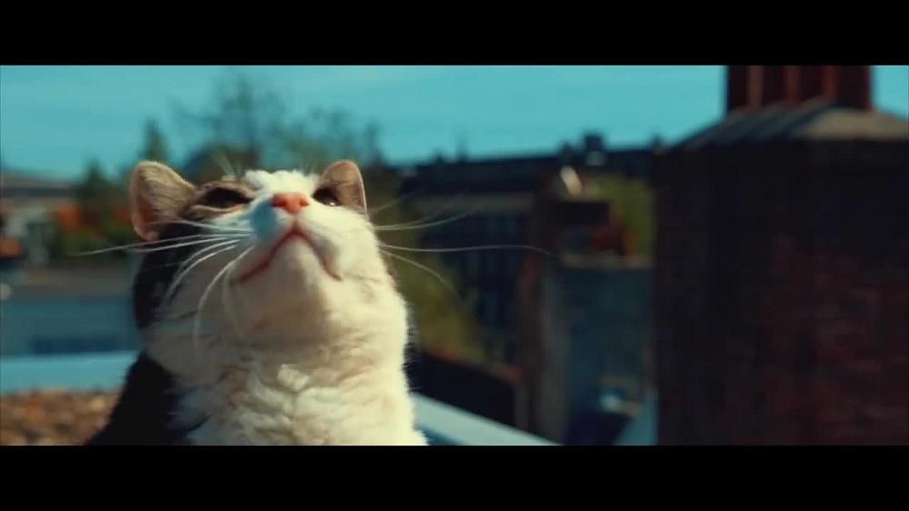 скачать клип Don Diablo Ft. Betty Who - Higher