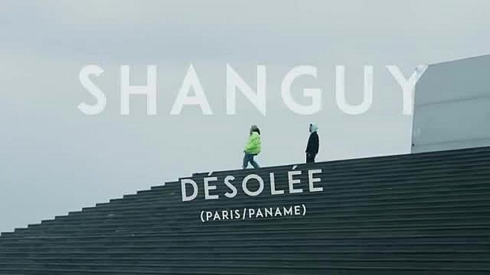 скачать клип SHANGUY - Desolee