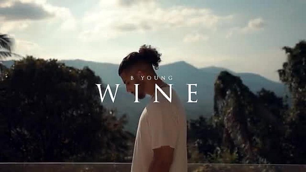 скачать клип B Young - WINE