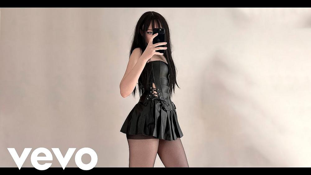 скачать клип Alan Walker and Ashlee - PORQUE TE VAS
