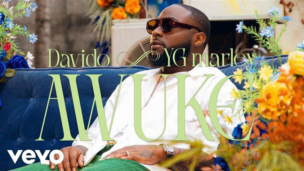 скачать клип Davido, YG Marley - Awuke