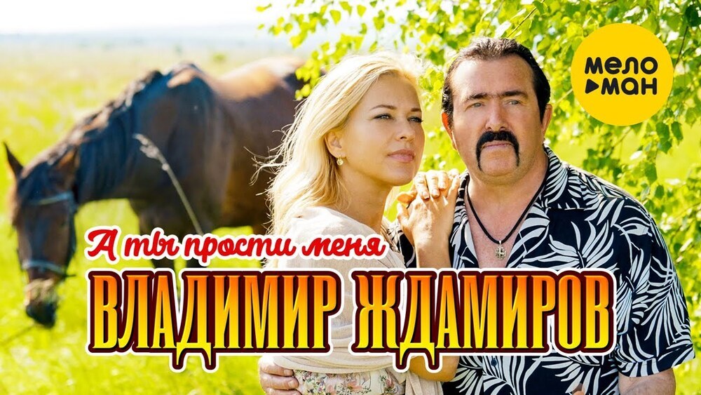 скачать клип Владимир Ждамиров - А ты прости меня