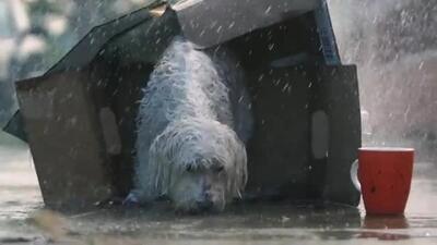Скачать клип