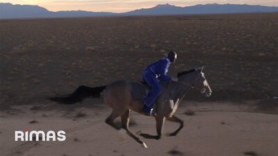 Скачать клип